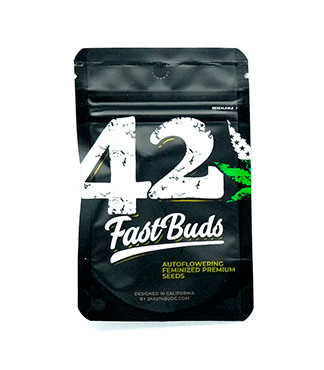 Purple Punch Auto fem (FastBuds)