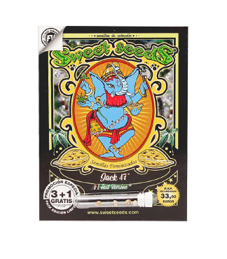 Jack 47 F1 Fast Version fem (Sweet Seeds)