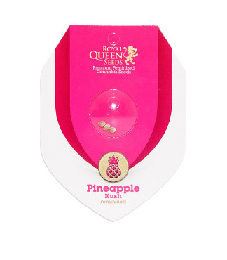 Pineapple Kush fem (RQS)