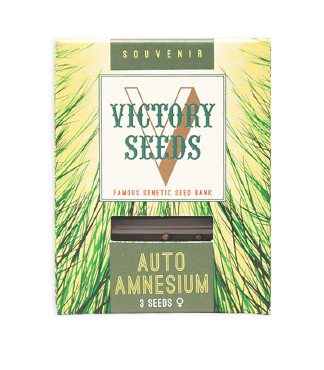 Auto Amnesium fem (Victory Seeds)