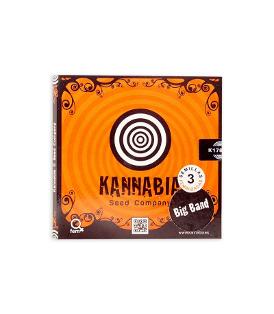 Семена сорта Big Band fem