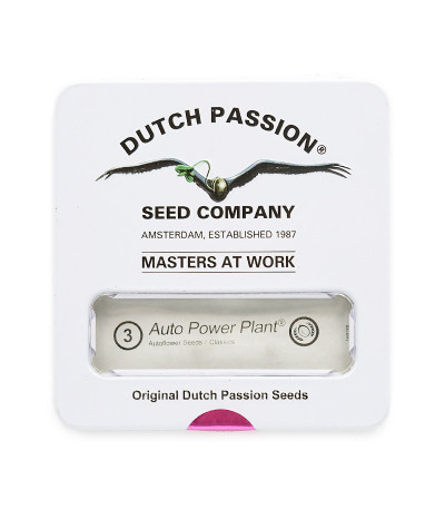 Семена сорта Auto Power Plant (Dutch Passion)