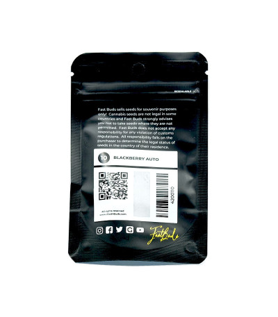 Семена сорта Blackberry auto fem (FastBuds)