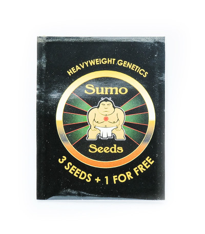 Семена сорта White Widow Original fem (Sumo Seeds)