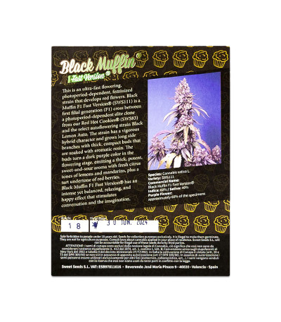 Семена сорта Black Muffin F1 Fast Version fem (Sweet Seeds)