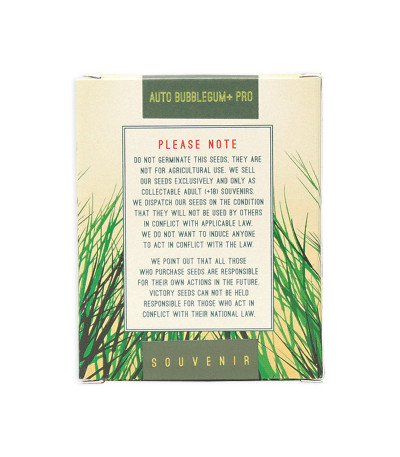 Семена сорта Auto Bubblegum+ Pro fem (Victory Seeds)