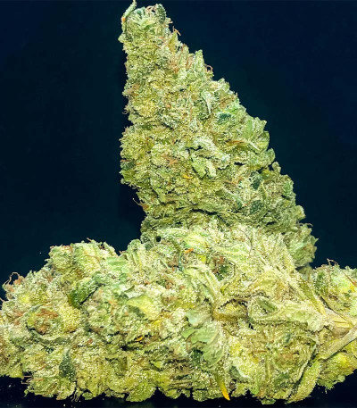 Семена сорта Fullgas fem (Green House Seeds)