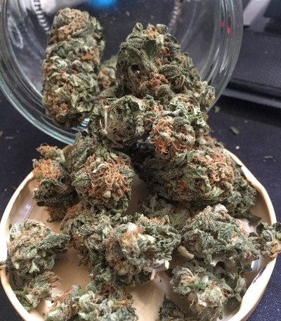 Семена сорта Watermelon Zkittlez fem (Pyramid Seeds)