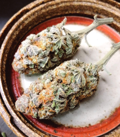 Семена сорта Mimosa X Orange Punch fem (Barney's Farm)