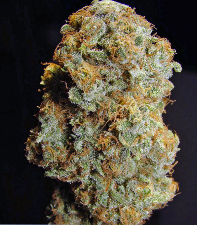 Семена марихуаны Desfrán