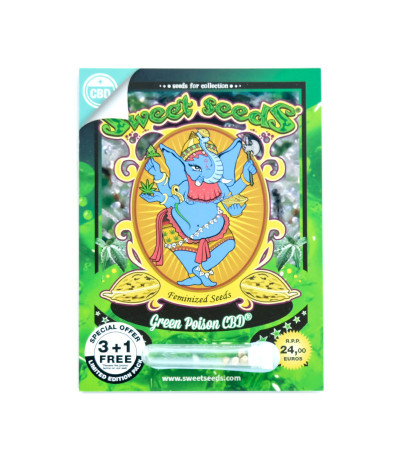 Семена сорта Green Poison CBD fem (Sweet Seeds)