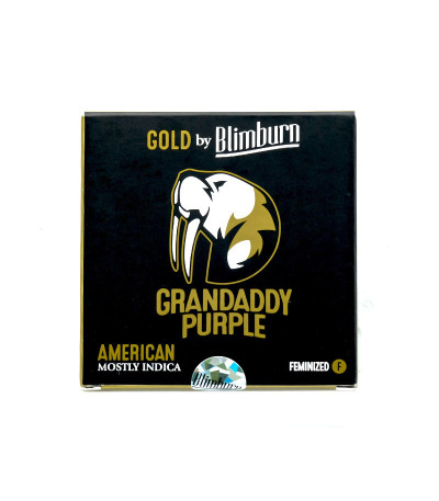Семена сорта Grandaddy Purple fem