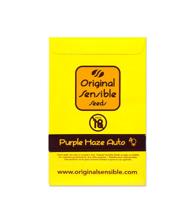 Семена сорта Purple Haze Auto fem (Original Sensible Seeds)