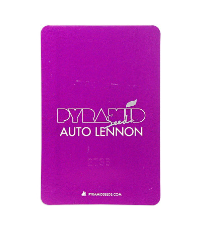 Семена сорта Auto Lennon fem (Pyramid Seeds)