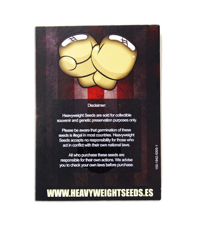 Семена сорта Turbo Bud Auto fem (Heavyweight Seeds)