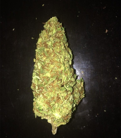 Семена сорта Pineapple Kush fem (Royal Queen Seeds)