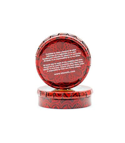 Семена сорта Do-Si-Dos Cookies fem (00 Seeds)