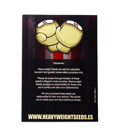 Семена сорта Waist Deep Auto fem (Heavyweight Seeds)