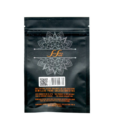 Семена сорта Crazy Miss Hyde Auto fem (Samsara Seeds)