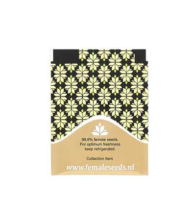 Семена сорта Auto White Widow x Big Bud fem (Female Seeds)