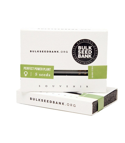Семена конопли Perfect Power Plant в оригинальной упаковке