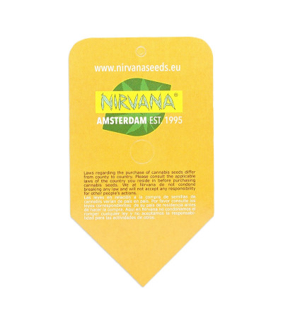 Семена сорта Lemon OG Haze Automatic fem (Nirvana Seeds)