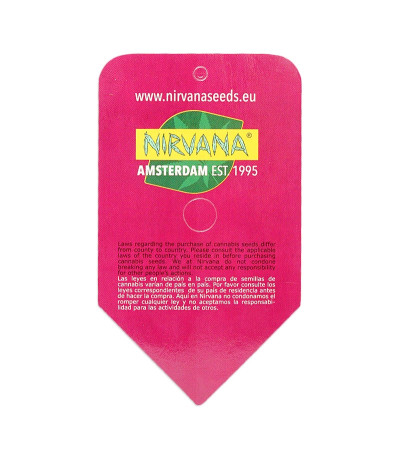 Семена сорта Misty Kush fem