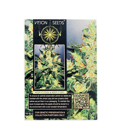 Семена сорта Vision Jack Auto Fem (Vision Seeds)