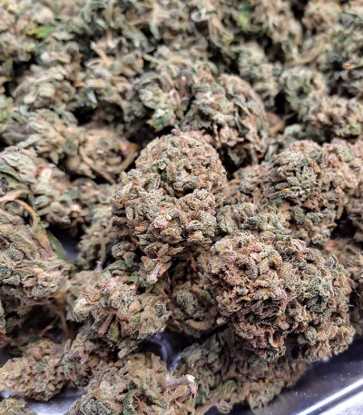 Семена сорта Smoothie Auto fem (FastBuds)