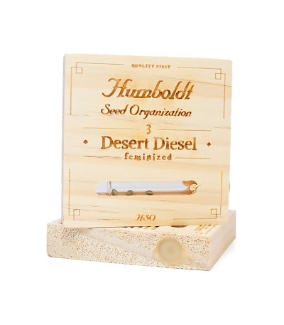 Семена сорта Desert Diesel fem