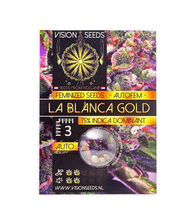 Семена сорта La Blanca Gold Auto Fem (Vision Seeds)