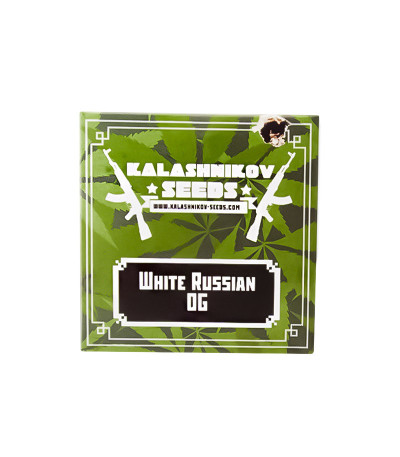 Семена сорта White Russian OG fem (Kalashnikov Seeds)