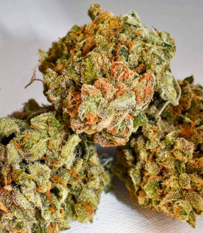 Семена сорта Banana Rapids fem (Dr. Krippling Seeds)