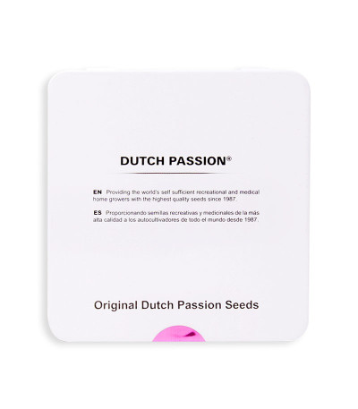 Семена сорта CBD Auto White Widow fem (Dutch Passion)