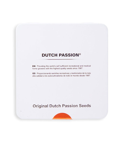 Купить семена конопли Brainstorm в оригинальной упаковке