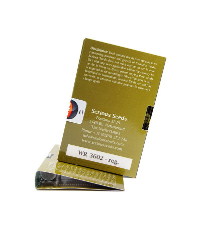 Семена конопли White Russian reg от Serious Seeds