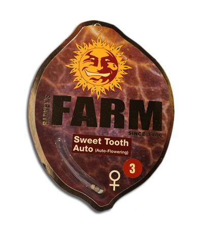 Семена сорта Sweet Tooth Auto fem (Barney's Farm)