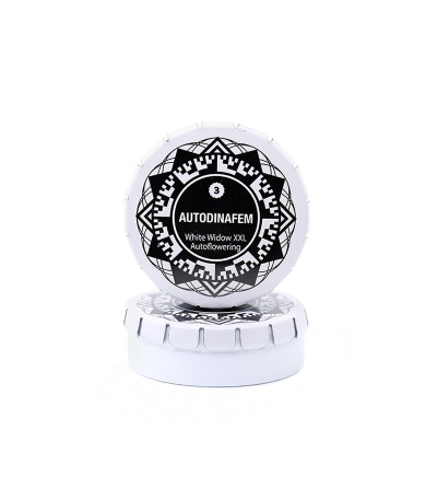 Семена сорта White Widow XXL Autoflowering fem