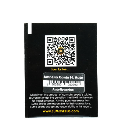Семена сорта Amnesia Ganja Haze Auto fem (Sumo Seeds)
