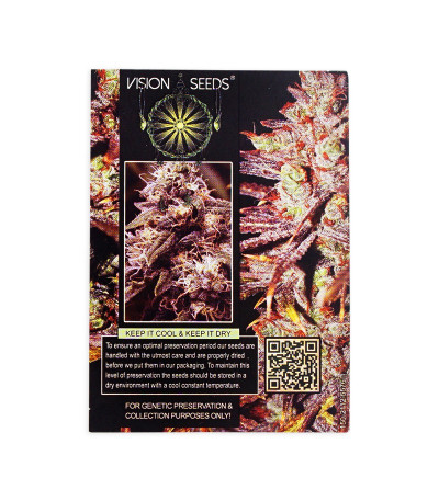 Семена сорта Choco Bud fem (Vision Seeds)