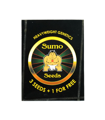 Семена сорта White Cheese Auto fem (Sumo Seeds)