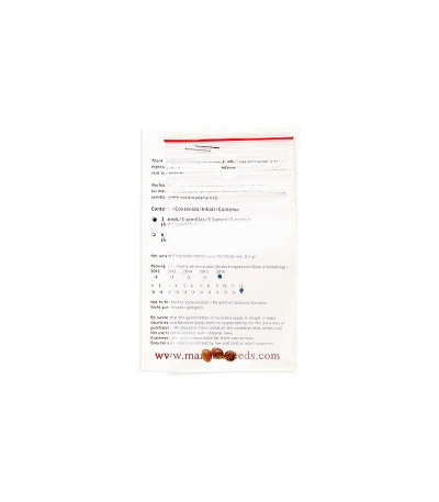 Семена сорта White Magic fem