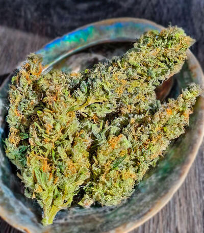 Семена сорта Gorilla 4 Autoflower fem (Easy Grow Seeds)