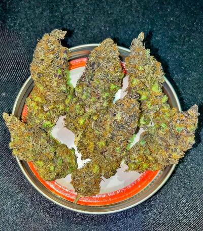 Семена сорта Insane OG