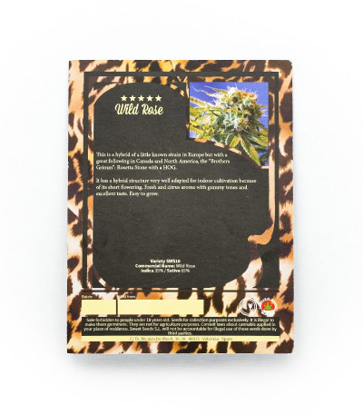 Семена сорта Wild Rose fem (Sweet Seeds)