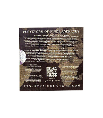 Семена сорта Caboose fem (Strain Hunters)