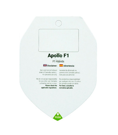 Семена сорта Apollo F1 Auto fem от RQS