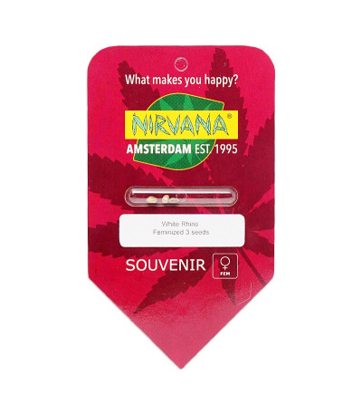 Семена сорта White Rhino fem (Nirvana Seeds)