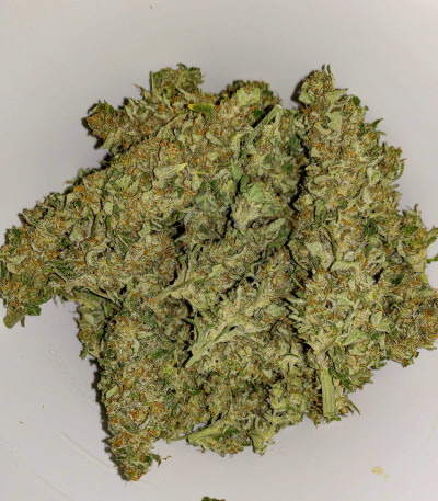 Семена сорта Auto American Pie fem (Pyramid Seeds)