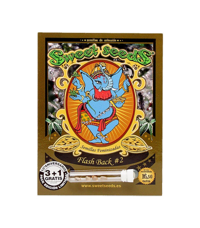 Семена сорта Flash Back #2 fem (Sweet Seeds)
